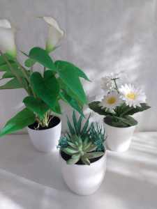 Hold***Three Artificial Plants Lot.