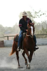 MJM Horsemanship. General exercising,training & horse breaking