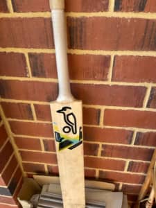 KOOKABURRA Junior cricket bat