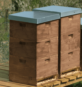 Bee Hives for sale
