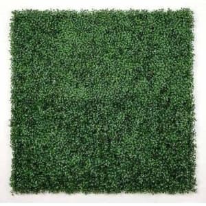 Free standing Green hedge backdrop
