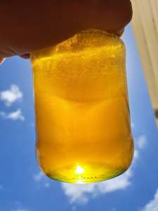 beeHappy Raw Honey $20/kg. Can be delivered. Mullum