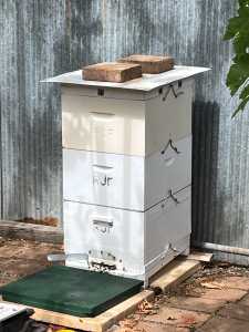Back yard Bee hive