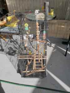 Large bird cage and toys