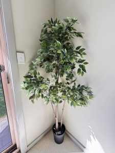 Artificial potted plant, in/outdoor Weeping fig