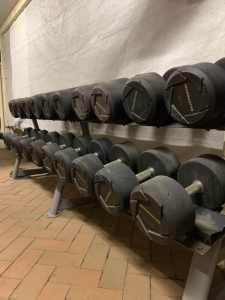 Ironmaster Dumbell Weights