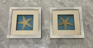 starfish frames decorations