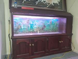 Fish Tank with Sand