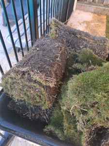 Tiftuf lawn rolls x 4 (located ellenbrook)