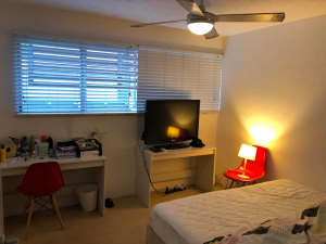 Room; Newstead/Fortitude Valley Area; Bills Included