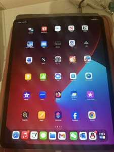 iPad pro 2020 12.9 inch (4th gen)