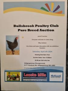 poultry auction