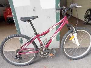 Mongoose Rockadile 24 inch wheels childs bike 