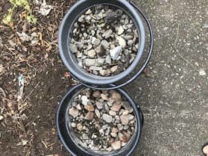 garden stones/rocks