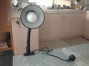 Electrical Reading lamp with a clip on base. 