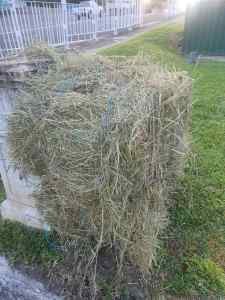 Mulch Grass hay
