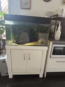 Aquarium fish tank and cabinet