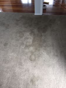 CRYSTAL CARPET CLEANING