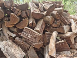 Seasoned split bluegum firewood