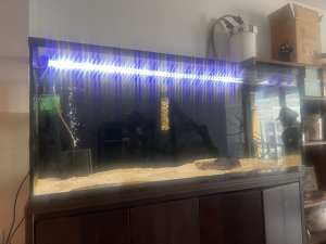 4ft aquarium fish tank turtle tank