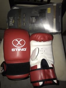 Sting everlast boxing gloves pro