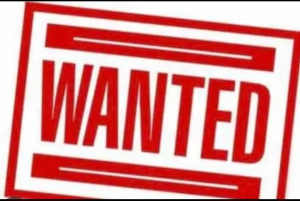Wanted: WANTED Automatic Motorhome