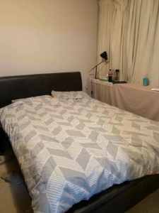 Master bedroom available for 2 females or couples in city apartment