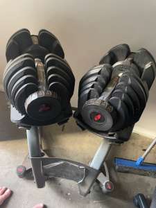 Bowflex 5521 Dumbbells Twin Set With Stand