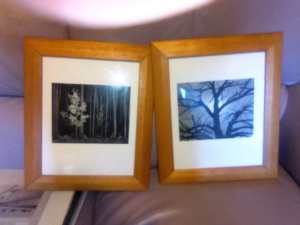The tree collection. A set of framed high gloss prints of trees 