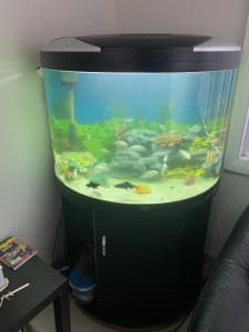 Aquamode900 large Fish tank including fish