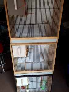 Quality Budgie Breeding Cabinets - New Condtion
