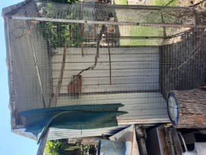 Solid steel bird cage