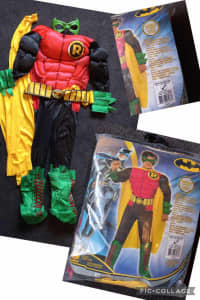 Robin / Deluxe Kids Costume