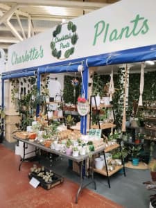 PLANTS, Indoor plants, Potted plants, water plants and more