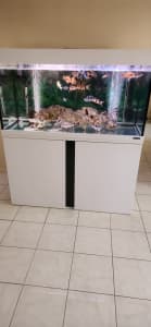 Complete aquaone Serene 340 4ft fish tank please give me your offer 
