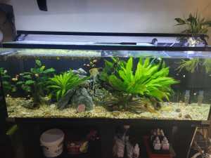 4ft aquaone aquarium with filter