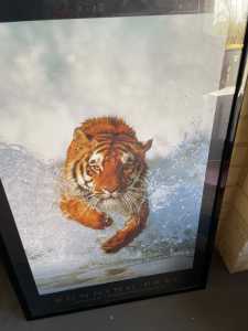 Framed Tiger print - Running Free