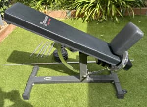 Adjustable weights bench including weights, dumbells and flat bar