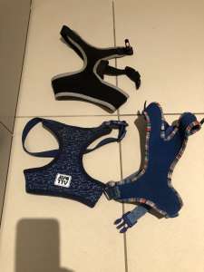 Free small dog harness and jumpers