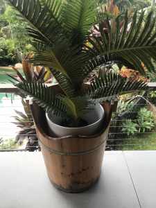 Barrel Wooden Planter Natural Pot Plants