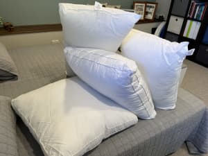 Pillows - european and king size
