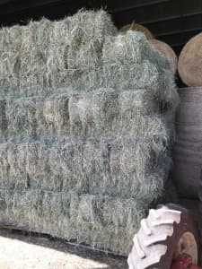 Rhodes Grass hay
