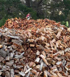 1m3 FIREWOOD Quality Mixed Hardwood Split Dry