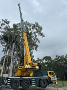 LARGE TREE REMOVAL SPECIALISTS