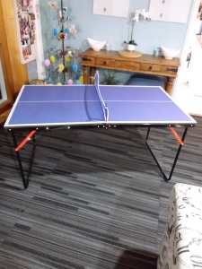SmallTable tennis table