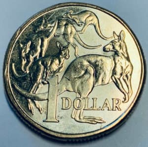 2019 $1 dollar coin MOR IRB unc