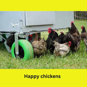 Chicken Caravan 30 Solar Powered Chicken Coop Casino NSW