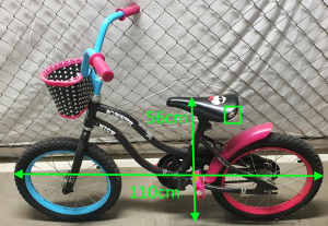 Kids size bicycle designed for off-road or stunting, Carlton pickup