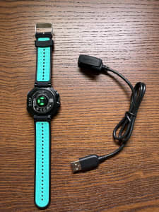 Gumtree cheap garmin watch