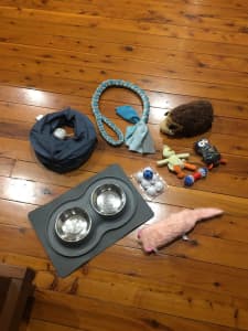 Cat or kittens toys and accessories